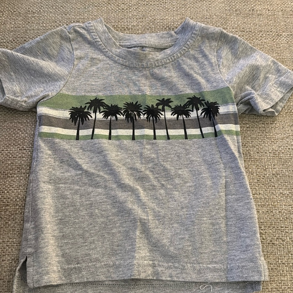 12-18 month Little Bipsy Palm tee.